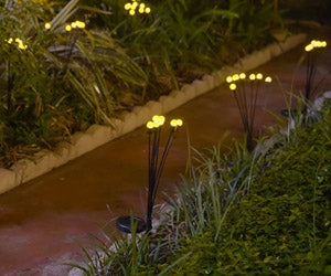 Starlyf Glow Lights 2x1 a 248 LEU