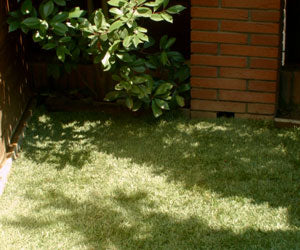 Aquagrazz a 49,99€