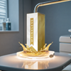Wrinkless