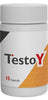Testo-Y